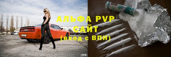 стаф Верея